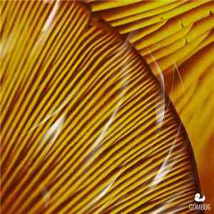 SØRN - Juices EP download mp3