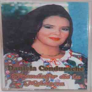 Daniela Condurache - Trandafir De La Moldova download mp3