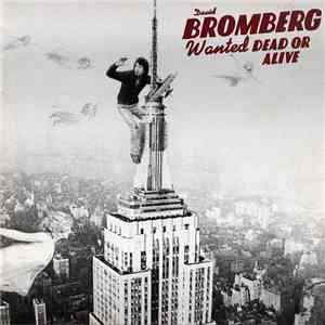 David Bromberg - Wanted Dead Or Alive download mp3