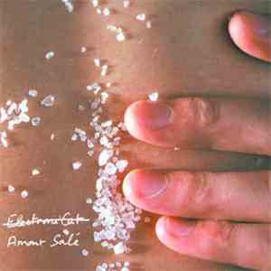 Electronicat - Amour Salé download mp3