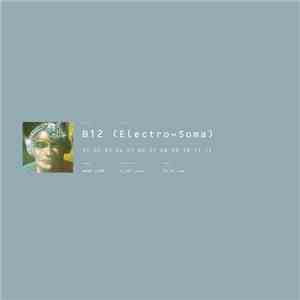 B12 - Electro-Soma download mp3
