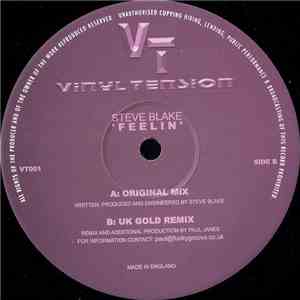 Steve Blake - Feelin download mp3
