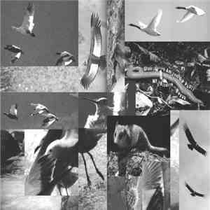 Uton / I Am Just A Pupil / My Bizarre Bayuk - Split download mp3