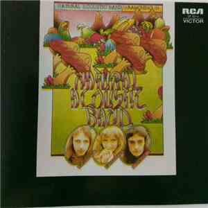 Natural Acoustic Band - Branching In download mp3