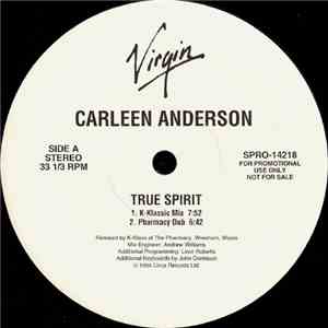 Carleen Anderson - True Spirit download mp3