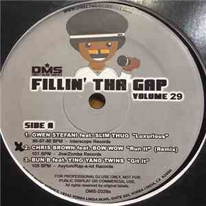 Various - Fillin' Tha Gap Volume 29 download mp3