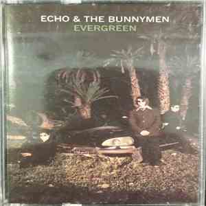 Echo & The Bunnymen - Evergreen download mp3