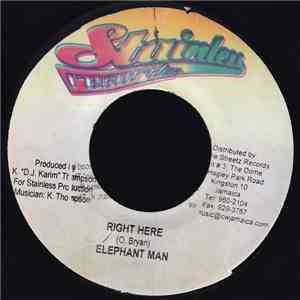 Elephant Man - Right Here download mp3