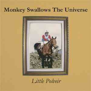 Monkey Swallows The Universe - Little Polveir download mp3