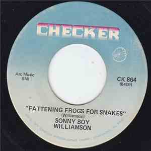 Sonny Boy Williamson  - Fattening Frogs For Snakes download mp3
