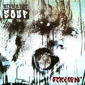 Alphabet Soup  - Strivin' download mp3