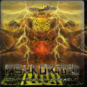 DJ Psykelo - Psykorigid download mp3