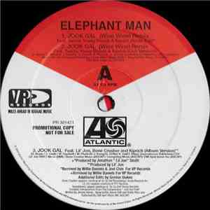 Elephant Man - Jook Gal (Remixes) download mp3
