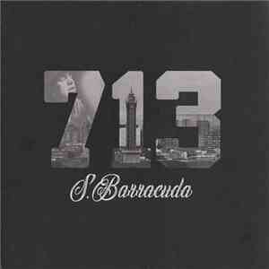 S.Barracuda - 713 download mp3