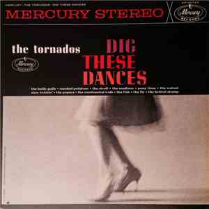 The Tornados  - Dig These Dances download mp3