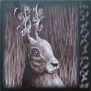 Beehoover - Heavy Zooo download mp3