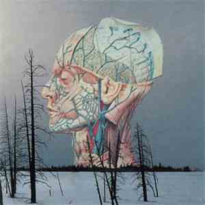 Low - Songs for a Dead Pilot - EP download mp3