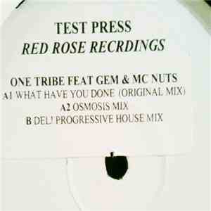 One Tribe  - What Have You Done download mp3