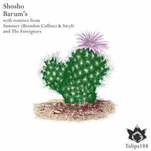 Shosho - Barum's download mp3
