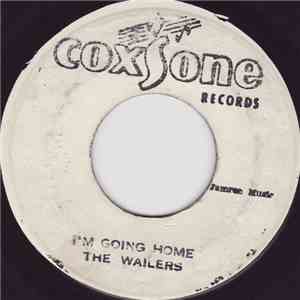 The Wailers - I'm Going Home / It Hurts To Be Alone mp3 download