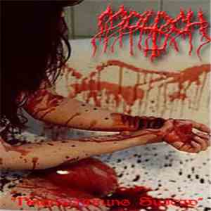 Moloch  - Nachwirkung Suicid download mp3