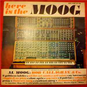Bob Callaghan - Il Gabbiano Infelice - Al Moog: Bob Callaghan & Co. mp3 download