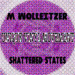 M Wolleitzer - Shattered States download mp3
