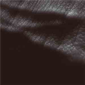 JK Flesh - Posthuman download mp3