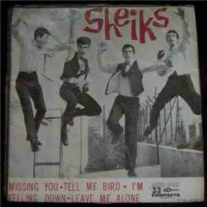 Sheiks - Missing You mp3 download