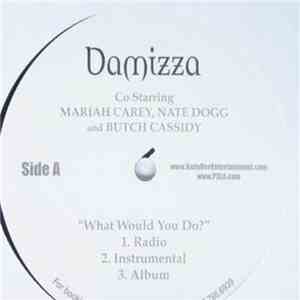 Damizza - What Would You Do mp3 download