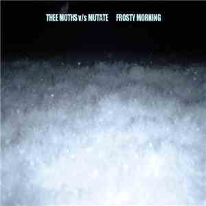 Thee Moths v/s Mutate  - Frosty Morning download mp3