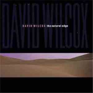 David Wilcox  - The Natural Edge download mp3