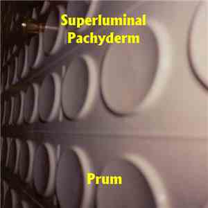 Superluminal Pachyderm - Prum download mp3