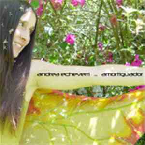 Andrea Echeverri - Amortiguador download mp3