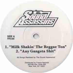 Sound Assassins  - Milk Shakin' The Reggae Ton download mp3