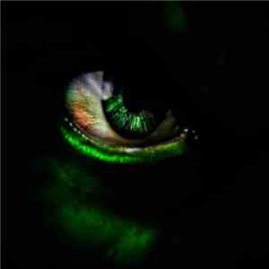 V Rush & Alexandra Makeeva - Here We Go download mp3