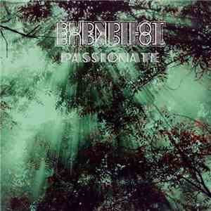 Burnpilot - Passionate download mp3